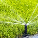 SAWS Stage 3 Watering Rules: Days, Hours & Sprinkler Settings SAWS stage 3 watering rules