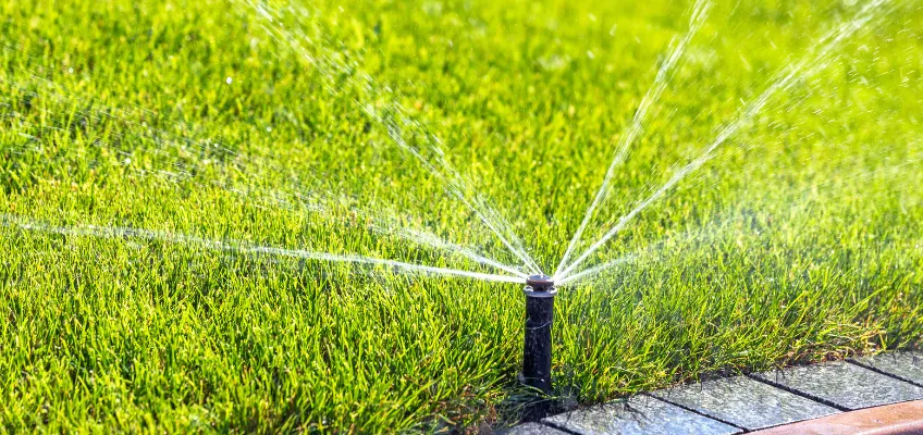 SAWS stage 3 watering rules